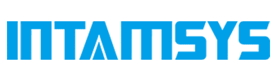 logo intamsys